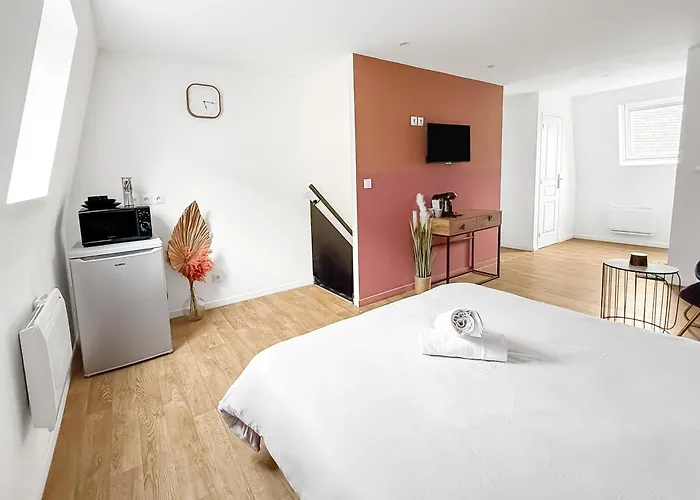 Lumineux Et Cosy Appartement Roubaix